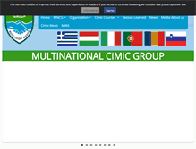 Tablet Screenshot of cimicgroup.org